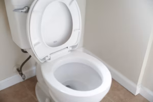 白い便器を写したトイレのイメージ写真（フリー素材）